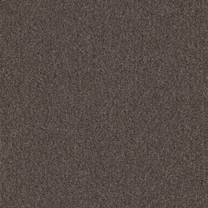 Cello - 861